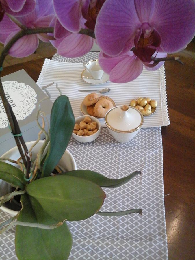 B&B La Casa Del Mugnaio Di Capriata D'Orba Predosa 外观 照片